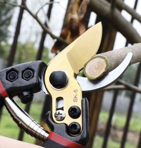 Sekator ogrodowy do cięcia gałęzi krzewów krzaków ostry poręczny na Arena.pl