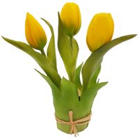 product-compare-53604716