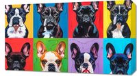 Obraz 70x40cm Buldogi Francuskie