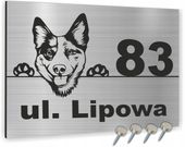 Tabliczka adresowa numer domu NAZWA ULICY 40x30 cm