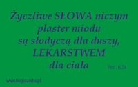 Magnes 66 na lodówkę Życzliwe SŁOWA niczym plaster