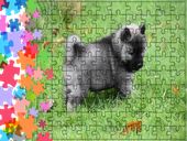 Puzzle tradycyjne Zwierzęta - Pies