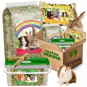 KARMA POKARM SIANO JABŁKA KOLBA WITAMINY DLA KRÓLIKA ŚWINKI WIOSNA + GRATIS