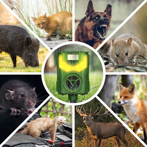 ULTRADŹWIĘKOWY ODSTRASZACZ PSÓW KOTÓW KUN LISÓW DZIKÓW SAREN JELENI NO PEST zdjęcie 2