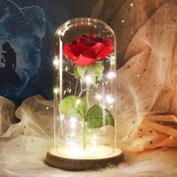 Ozdobna Róża W pojemniku - Doskonały prezent