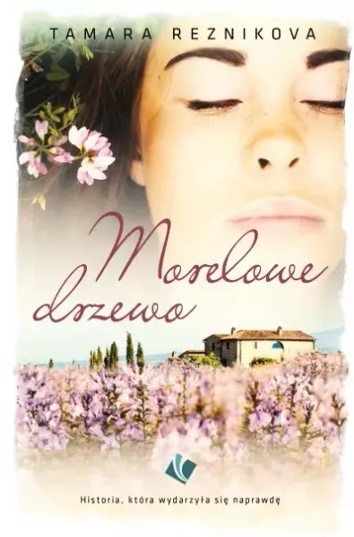 Morelowe drzewo zdjęcie 1