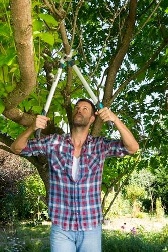 classic nożyce do gałęzi ec 680b - hg-12003-20 na Arena.pl