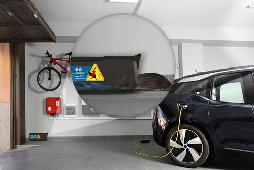 ELEKTRYCZNA PUŁAPKA NA MYSZY SZCZURY NO PEST ŁAPKA RAŻĄCA HUMANITARNA na Arena.pl