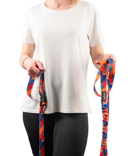 Smycz do biegania z amortyzatorem - Chaba Story III L 25mm/280cm Aussie na Arena.pl