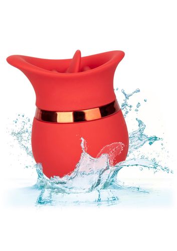 French Kiss Sweet Talker Red na Arena.pl