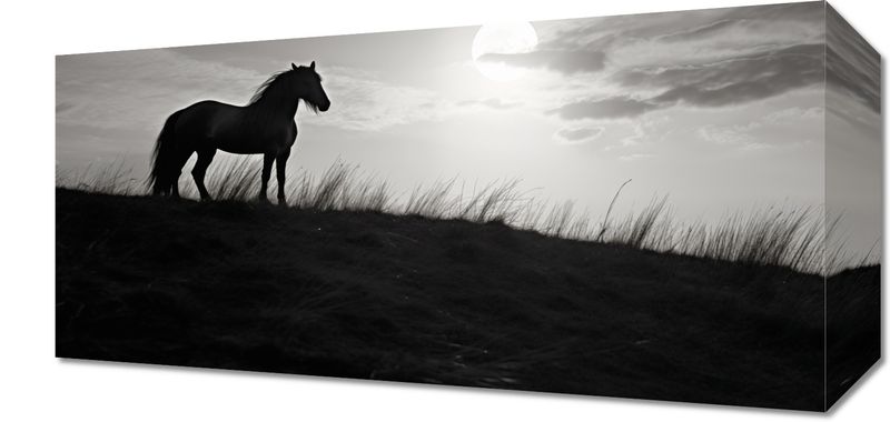 Obraz 40x20cm Księżycowa Straż zdjęcie 1