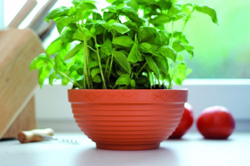 Doniczka Misa DMS11 | Terakota na Arena.pl