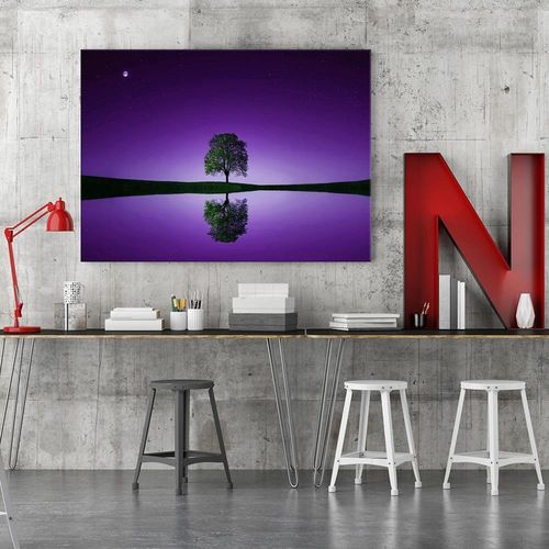 Obraz na płótnie - Canvas, Samotne drzewo 3 60x40 na Arena.pl