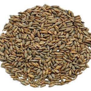 Słód żytni  3-8 EBC Weyermann 1 kg na Arena.pl