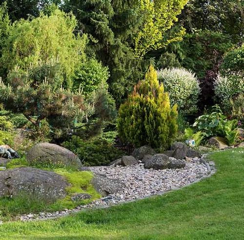 SUMIN ZAKWASZAJĄCY 2,5KG NAWÓZ KWAŚNOLUBNYCH BORÓWKI BORÓWEK WRZOSY na Arena.pl