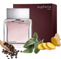 CALVIN KLEIN EUPHORIA MEN 100ML ORYGINALNE PERFUMY MESKIE WODA TOALETOWA