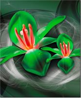 product-compare-58656863