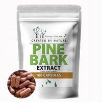 Kora Sosny 300mg 100kap ANTYOKSYDANT UKŁAD KRĄŻENIA EXTRACT SOSNA NADMORSKA