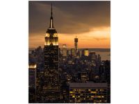 product-compare-58652977