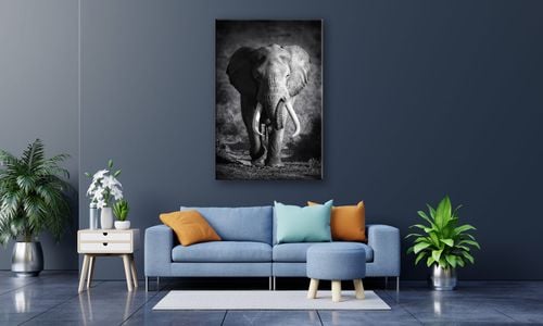 OBRAZ NA PŁÓTNIE 120 Słoń 70x100cm na Arena.pl
