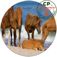 Opłatek na tort Konie