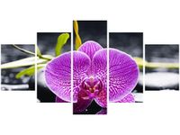 80CM 150CM OBRAZ 5 ELEM ORCHIDEA ŚCIENNY