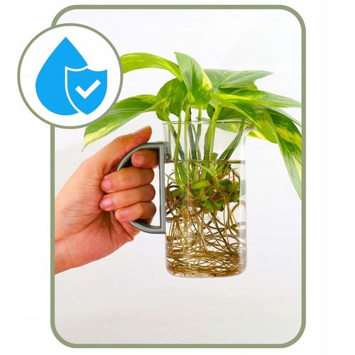 Mech Torfowiec SPHAGNUM 5L Podłoże do Storczyka Ukorzeniania Naturalny na Arena.pl