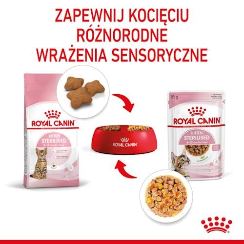 Royal Canin Kitten Sterilised Karma Mokra W Galaretce Dla Kociąt Od 6 Do 12 na Arena.pl