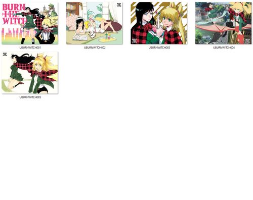 Poduszka Burn The Witch DO WYBORU na Arena.pl