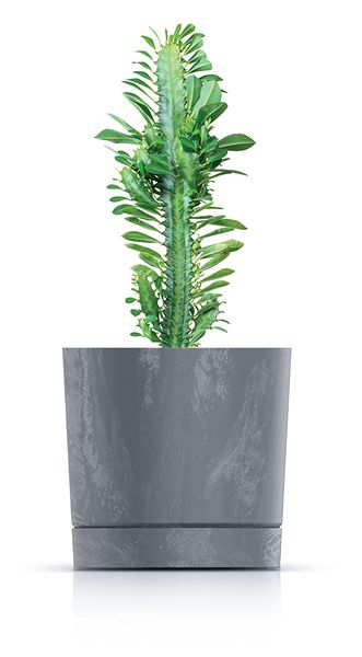 Doniczka okrągła Tubo Effect 240E + podstawka 8l zdjęcie 2