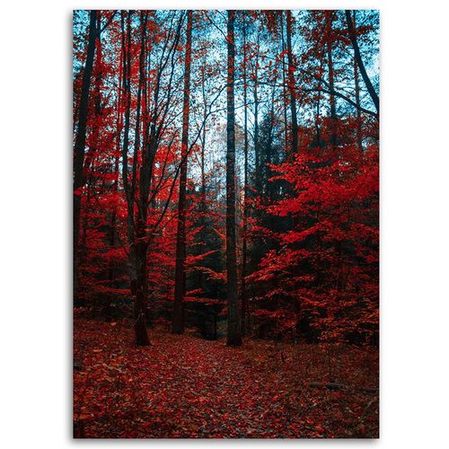 Deco Panel, Las z drzewami jesień 30x40 na Arena.pl