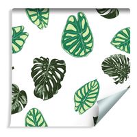 Tapeta Dekoracyjna Liście Monstery i Alokazji Natura Dekoracja