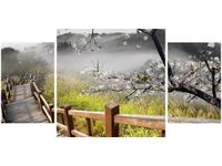 product-compare-58644096