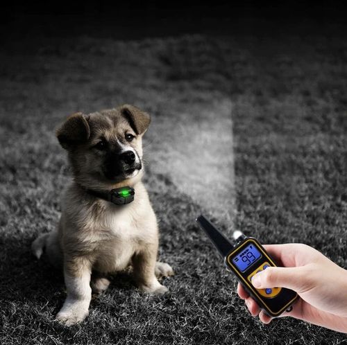 ELEKTRYCZNA OBROŻA DLA PSA 800M TRENINGOWA + PILOT na Arena.pl