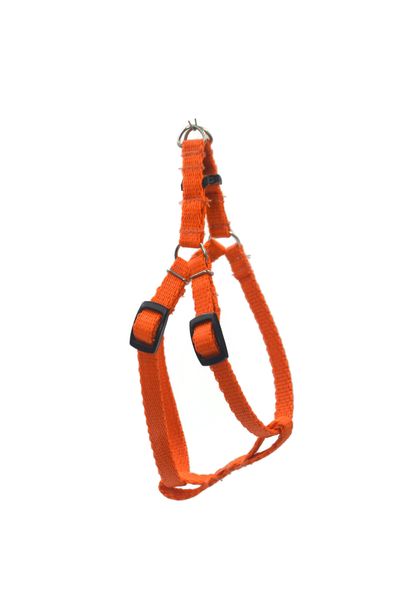 A-043 SZELKI DLA PSA GÓRNE 10MM Kolor - Czerwony zdjęcie 1