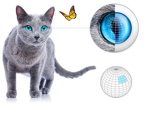 System Fibaro czujnik ruchu na Arena.pl
