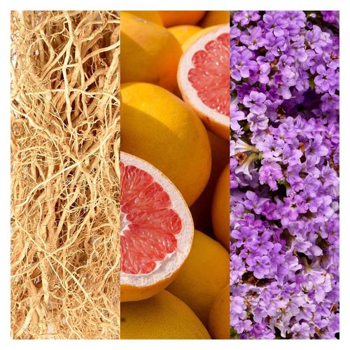 Joop! Jump woda toaletowa spray 100ml na Arena.pl