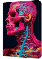 Obraz 40x60cm Anatomia Koloru