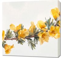 product-compare-59509480