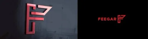 FEEGAR Transmiter FM bluetooth ładowarka QC 4.0 PD na Arena.pl