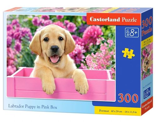 Puzzle 300 Elementów Labrador W Pudełku na Arena.pl