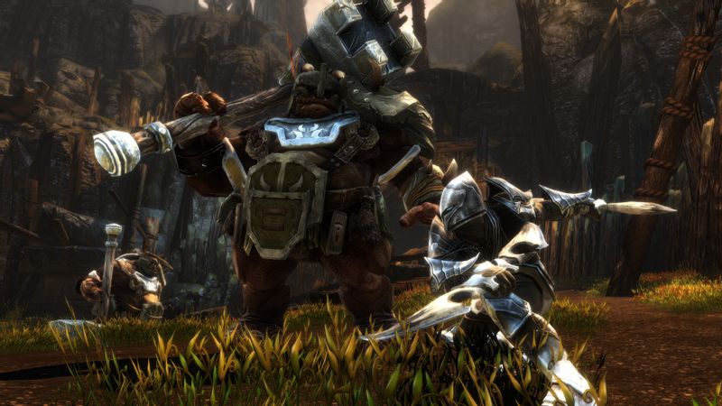 Kingdoms of Amalur: Re-Reckoning zdjęcie 3