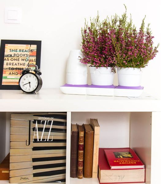 Ogródek domowy Minigarden Basic S +Pots - biały zdjęcie 6