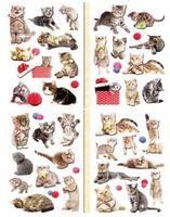 NAKLEJKI 3D KOTY CLA7 BREWIS