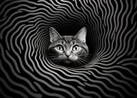 product-compare-59388477