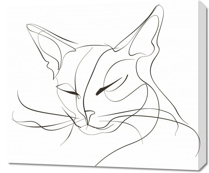 Obraz 70x60cm Linijny Kot zdjęcie 1