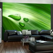 Fototapeta - Liść i trzy krople wody 200x154