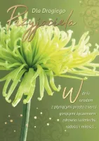 Karnet Pr-370 Urodziny (Kwiaty, Przyjaciel)