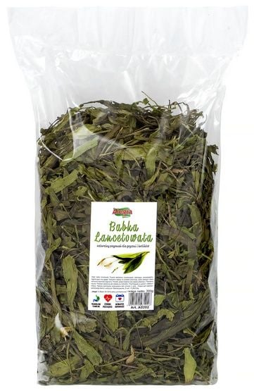Alegia Babka lancetowata 300g zdjęcie 1