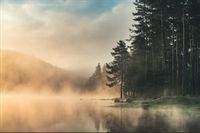 Fototapeta Las we Mgle JEZIORO Pejzaż do Sypialni 360x240